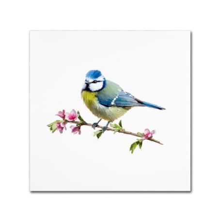 Trademark Fine Art